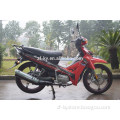 Chinese 49cc pocket bike 49cc pocket bike pocket bike wholesale kids petrol bikes ZF110-8